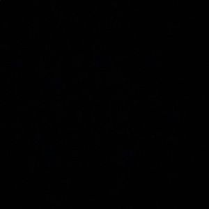 Meet your Posher, Kaylee